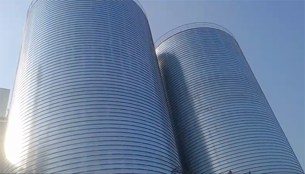 二连浩特2座混凝土高架卷板仓